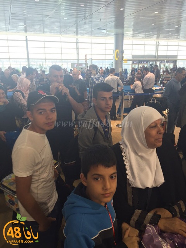 lud 3omra plane lud (8).jpg